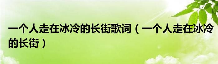 一个人走在冰冷的长街歌词（一个人走在冰冷的长街）