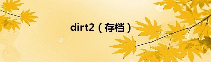 dirt2（存档）