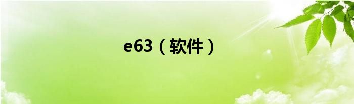 e63（软件）