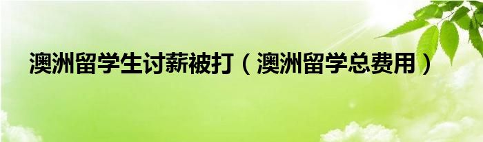 澳洲留学生讨薪被打（澳洲留学总费用）