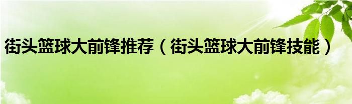 街头篮球大前锋推荐（街头篮球大前锋技能）