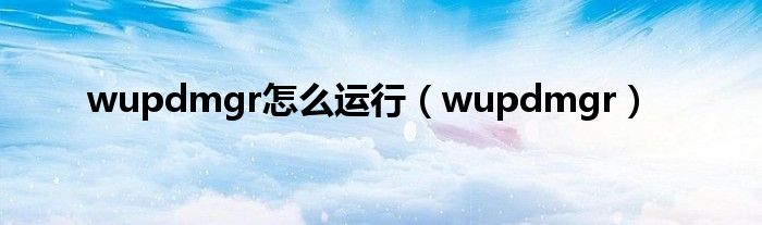 wupdmgr怎么运行（wupdmgr）