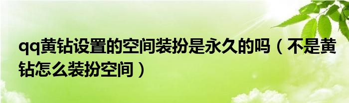 qq黄钻设置的空间装扮是永久的吗（不是黄钻怎么装扮空间）