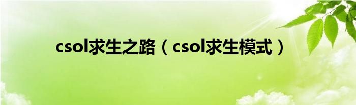 csol求生之路（csol求生模式）