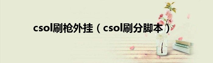 csol刷枪外挂（csol刷分脚本）