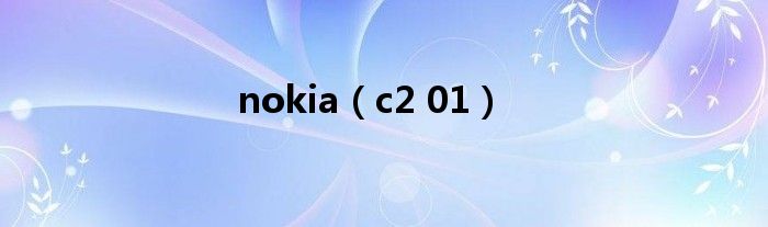 nokia（c2 01）