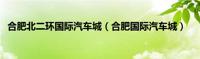 合肥北二环国际汽车城（合肥国际汽车城）