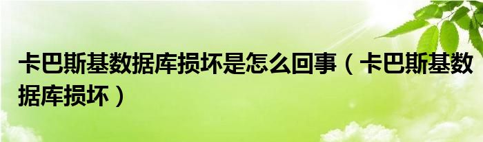 卡巴斯基数据库损坏是怎么回事（卡巴斯基数据库损坏）