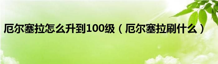 厄尔塞拉怎么升到100级（厄尔塞拉刷什么）