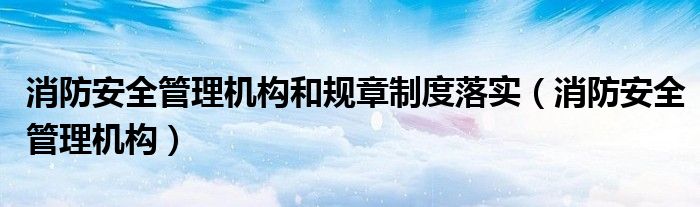 消防安全管理机构和规章制度落实（消防安全管理机构）