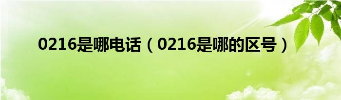 0216是哪电话（0216是哪的区号）