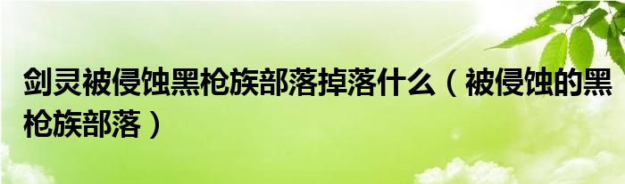 剑灵被侵蚀黑枪族部落掉落什么（被侵蚀的黑枪族部落）