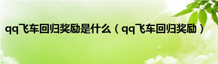 qq飞车回归奖励是什么（qq飞车回归奖励）