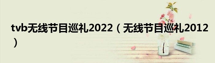 tvb无线节目巡礼2022（无线节目巡礼2012）