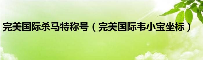 完美国际杀马特称号（完美国际韦小宝坐标）