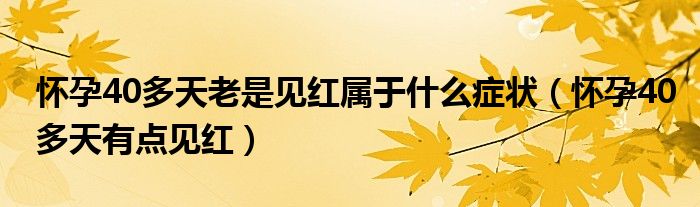 怀孕40多天老是见红属于什么症状（怀孕40多天有点见红）