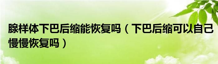 腺样体下巴后缩能恢复吗（下巴后缩可以自己慢慢恢复吗）