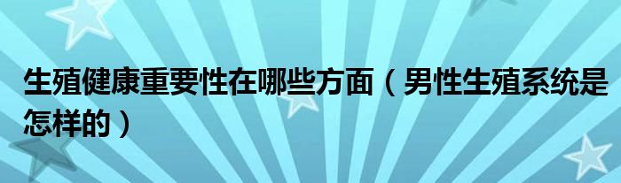 生殖健康重要性在哪些方面（男性生殖系统是怎样的）