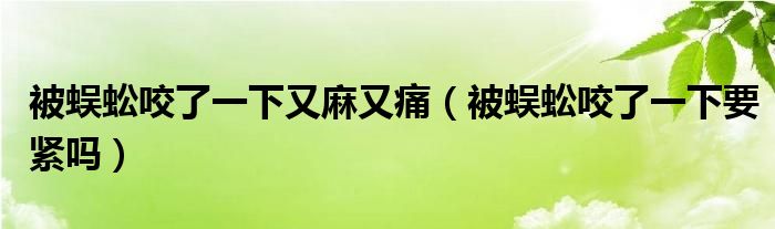 被蜈蚣咬了一下又麻又痛（被蜈蚣咬了一下要紧吗）