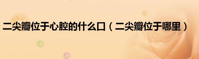 二尖瓣位于心腔的什么口（二尖瓣位于哪里）