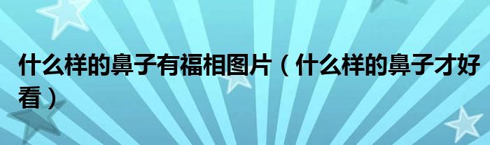 什么样的鼻子有福相图片（什么样的鼻子才好看）