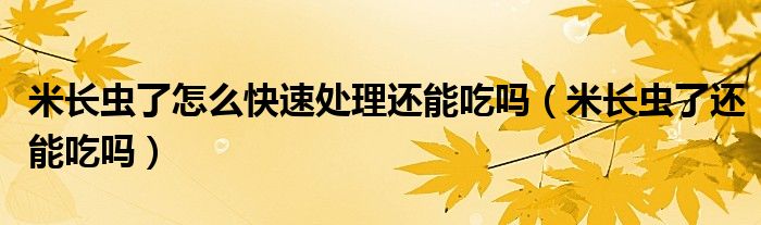 米长虫了怎么快速处理还能吃吗（米长虫了还能吃吗）