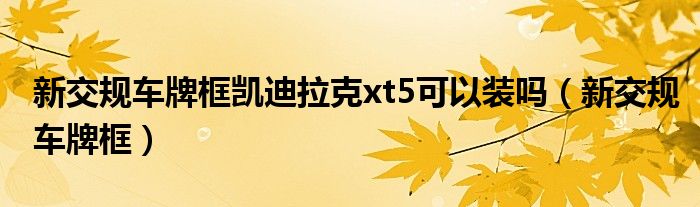 新交规车牌框凯迪拉克xt5可以装吗（新交规车牌框）