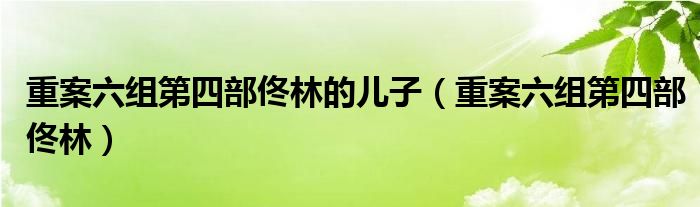 重案六组第四部佟林的儿子（重案六组第四部佟林）