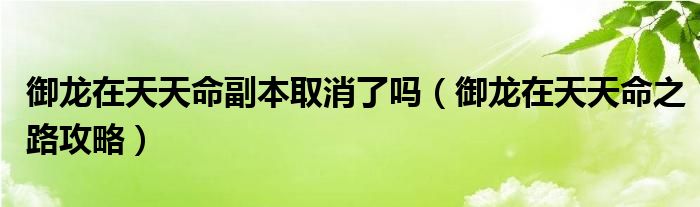 御龙在天天命副本取消了吗（御龙在天天命之路攻略）