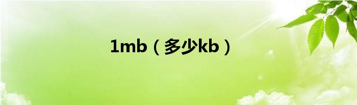 1mb（多少kb）