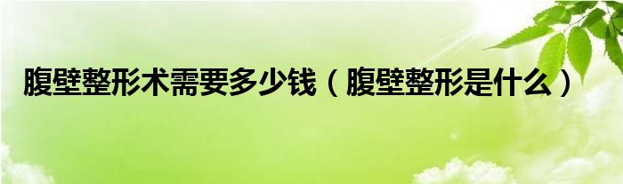 腹壁整形术需要多少钱（腹壁整形是什么）