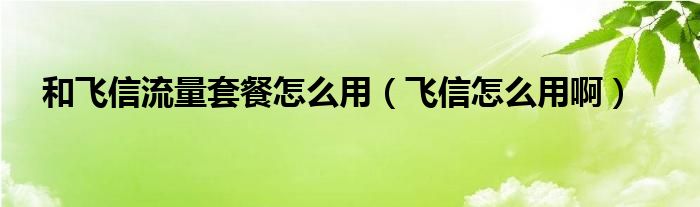 和飞信流量套餐怎么用（飞信怎么用啊）