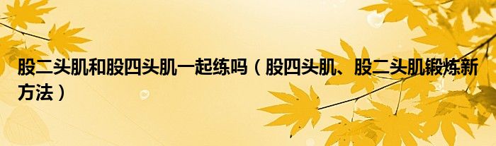 股二头肌和股四头肌一起练吗（股四头肌、股二头肌锻炼新方法）