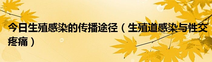 今日生殖感染的传播途径（生殖道感染与性交疼痛）