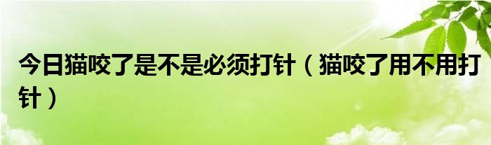 今日猫咬了是不是必须打针（猫咬了用不用打针）