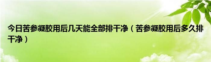 今日苦参凝胶用后几天能全部排干净（苦参凝胶用后多久排干净）