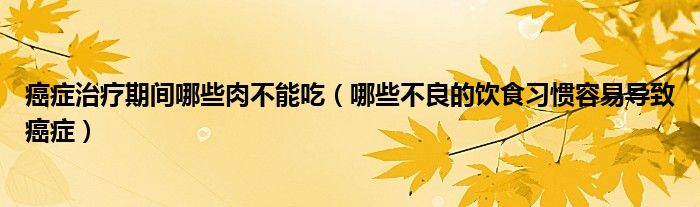 癌症治疗期间哪些肉不能吃（哪些不良的饮食习惯容易导致癌症）