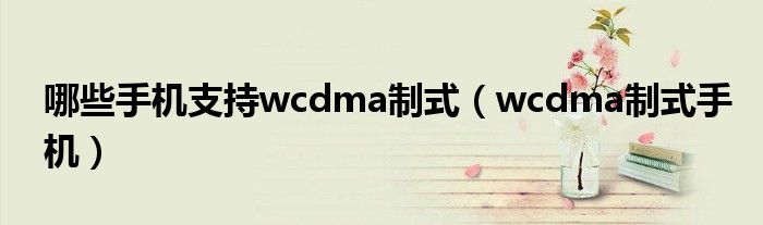 哪些手机支持wcdma制式（wcdma制式手机）