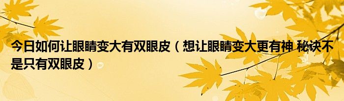 今日如何让眼睛变大有双眼皮（想让眼睛变大更有神 秘诀不是只有双眼皮）