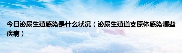 今日泌尿生殖感染是什么状况（泌尿生殖道支原体感染哪些疾病）