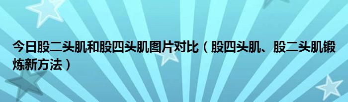 今日股二头肌和股四头肌图片对比（股四头肌、股二头肌锻炼新方法）