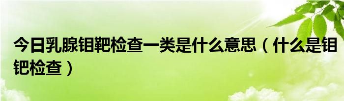 今日乳腺钼靶检查一类是什么意思（什么是钼钯检查）