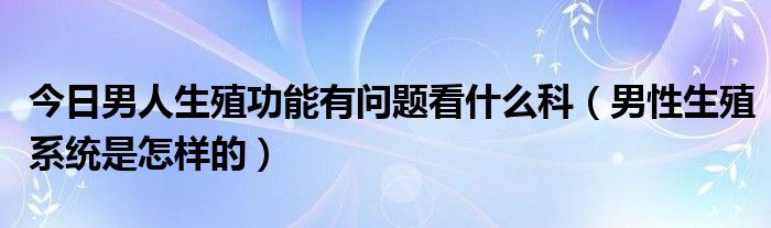 今日男人生殖功能有问题看什么科（男性生殖系统是怎样的）