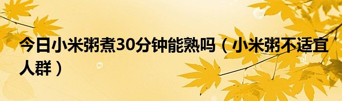 今日小米粥煮30分钟能熟吗（小米粥不适宜人群）