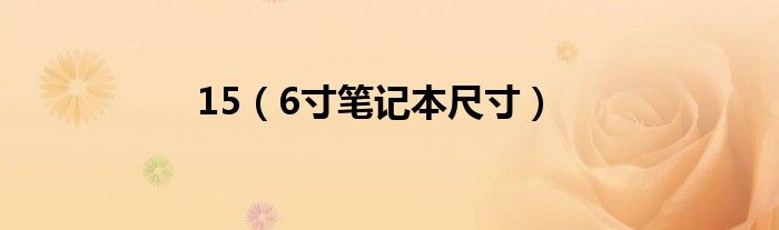 15（6寸笔记本尺寸）