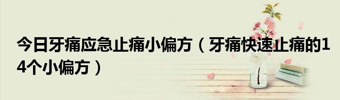 今日牙痛应急止痛小偏方（牙痛快速止痛的14个小偏方）