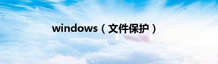 windows（文件保护）