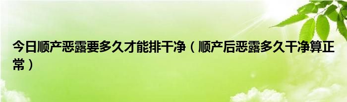 今日顺产恶露要多久才能排干净（顺产后恶露多久干净算正常）