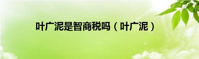 叶广泥是智商税吗（叶广泥）