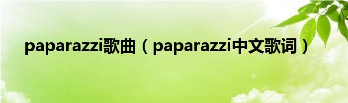 paparazzi歌曲（paparazzi中文歌词）